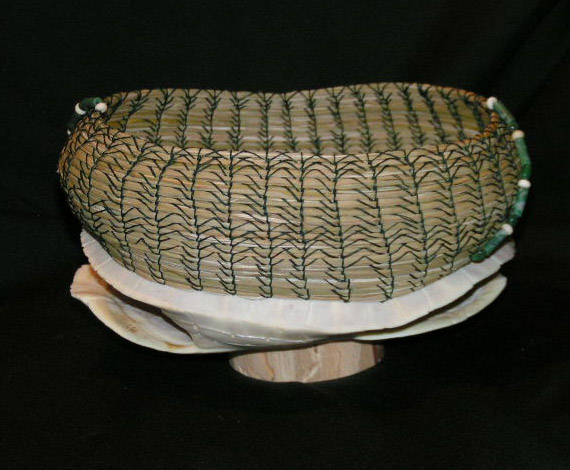 White Turtle Shell "Organic Geometry"