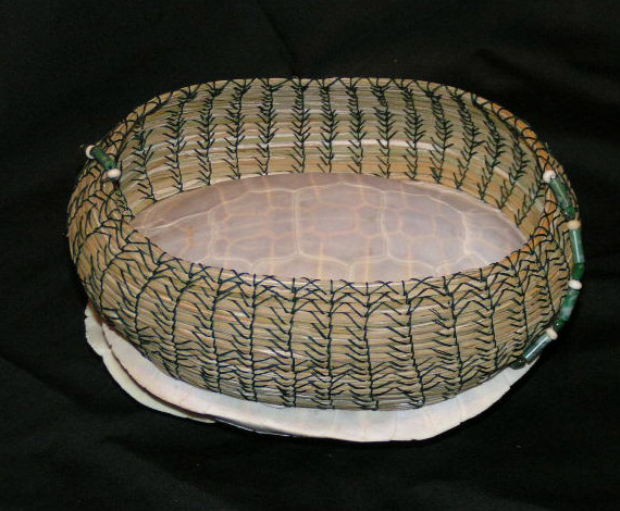 White Turtle Shell "Organic Geometry"